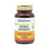 Ginseng Kapsül